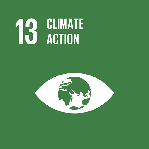 13 CLIMATE ACTION