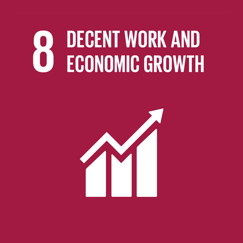 8 DECENT WORK AND ECONOMIC GROWTH